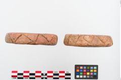 Foto von Tonscheibe (NHMW-PRAE-024761)
